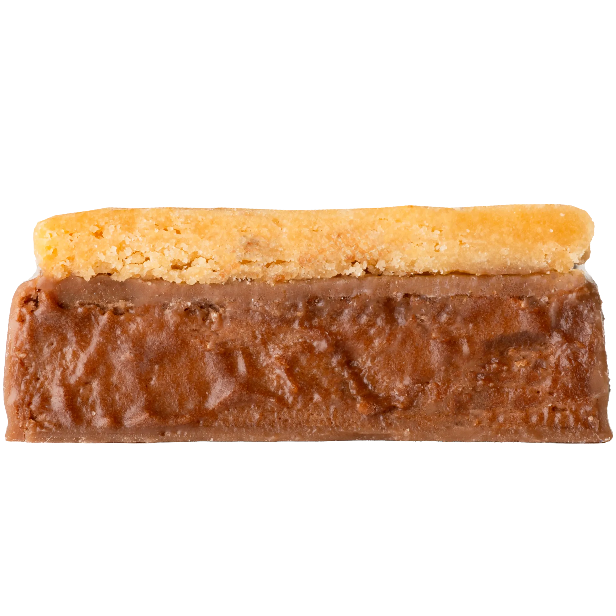 アリバ×プレーン