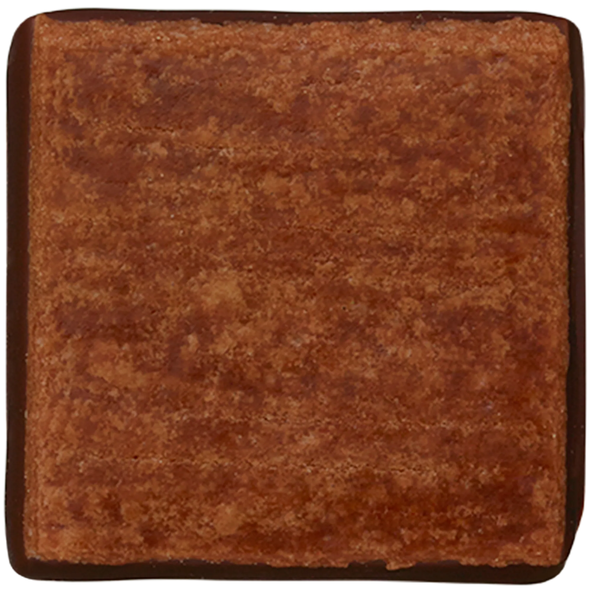 グアナラ×ココア