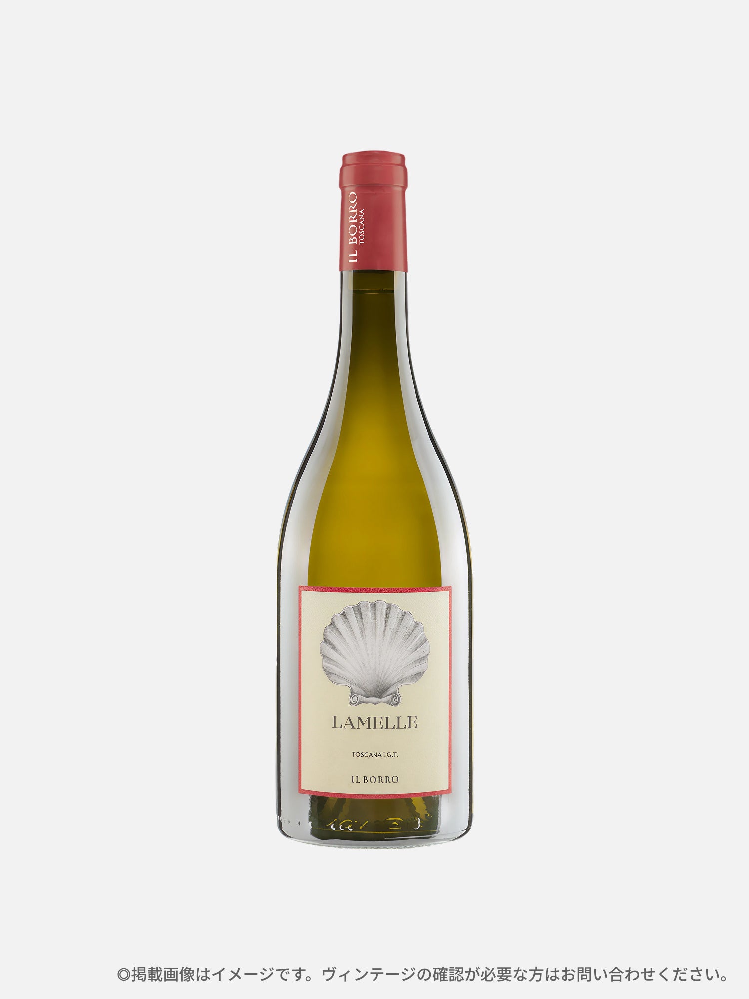 イル ボッロ 「アルパ ソルシ」〈箱入り〉 |洋酒・日本酒 | WAKO公式
